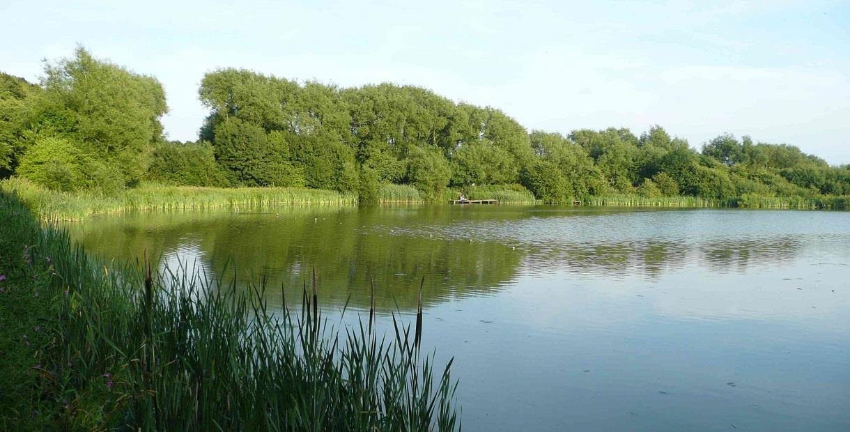 Carr Vale Flash Nature Reserve - Nature Reserve in Bolsover, Bolsover ...